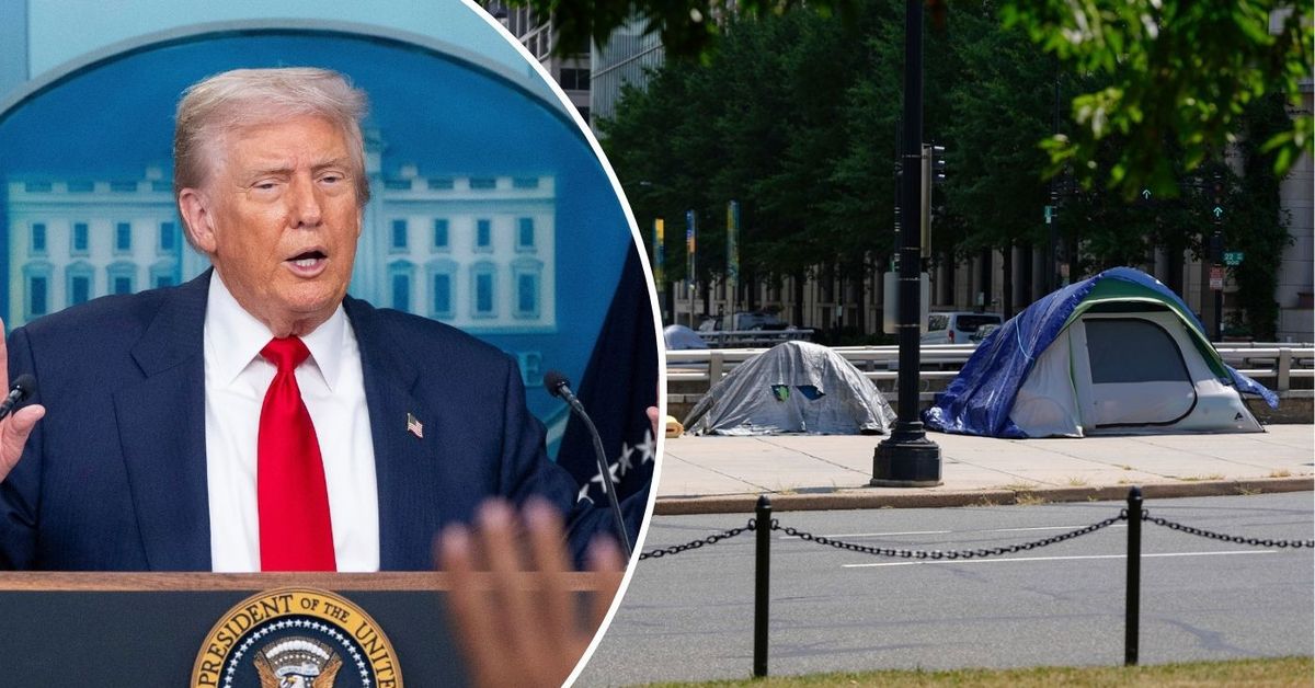 Trump’s DC police takeover was fueled by attack on former DOGE staffer and his own observations of homelessness, allies say