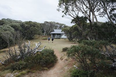 Alpine National Park, High Country