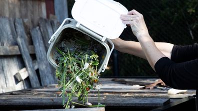 Food waste caddy