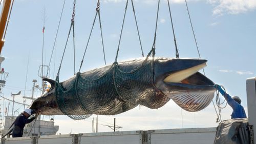 Australia to oppose Japan's whaling plan