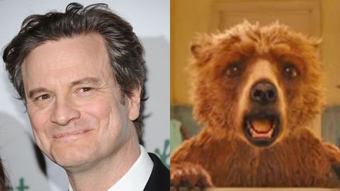 Colin Firth Paddington Bear