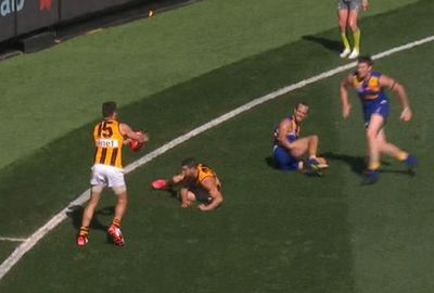 Luke Hodge kicked one of the great grand final goals with a brilliant banana kick.