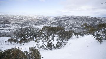 A skiier is missing in the high country in the NSW Snowy Mountains.