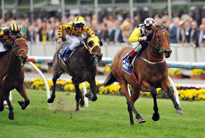 Precedence won the Moonee Valley Gold Cup on its way to the Melbourne Cup.