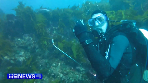 WA duo Andy Nelson and Tim Ryan were hunting for crayfish off Safety Bay, when they came dangerously close to a great white shark.