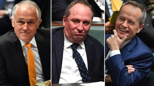 Malcolm Turnbull and Bill Shorten have traded verbal barbs over Barnaby Joyce's citizenship status. (AAP)