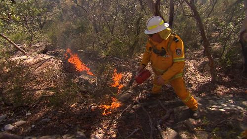 The fire is located at Doyalson. Picture: 9NEWS