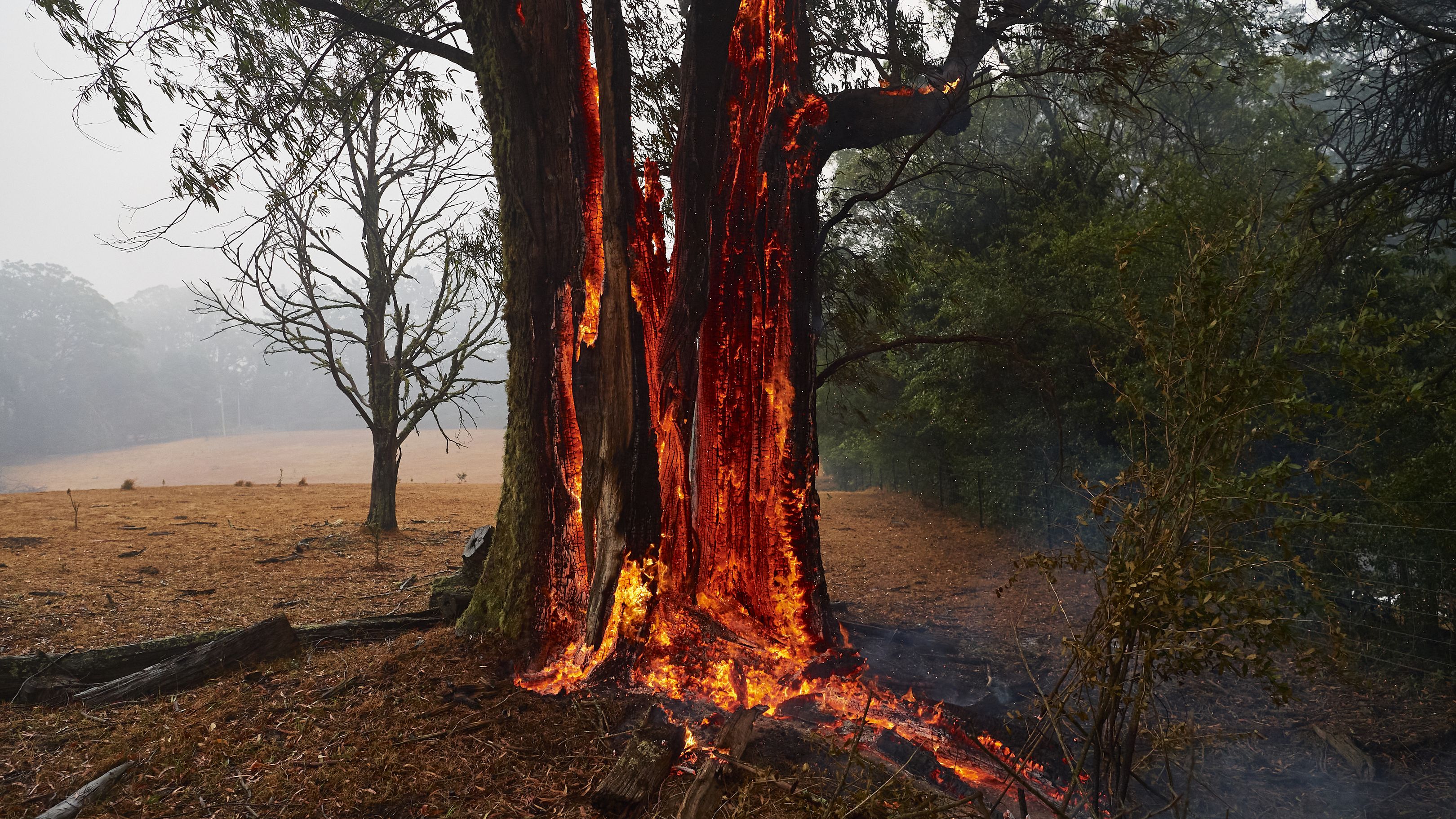 Australian Bushfires: The Next Dangerous Weather Conditions For ...