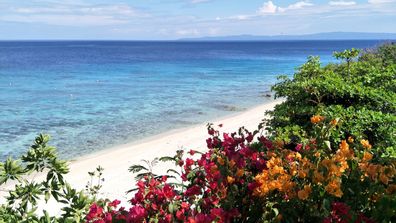 Cebu's tropical islands 