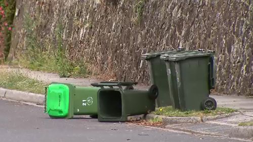 Trash-talking mayor orders bin bandits to bring in garbage