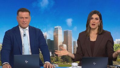 Karl Stefanovic Sarah Abo