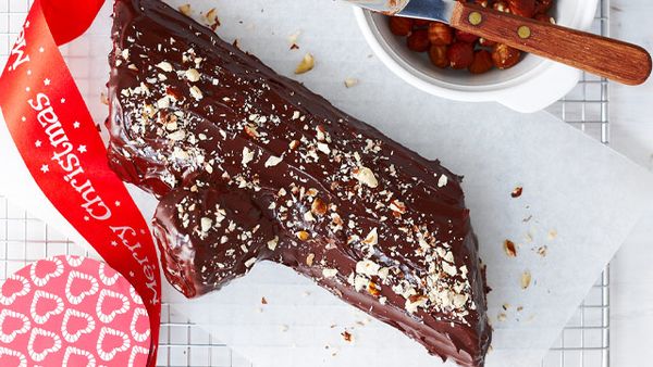 Chocolate yule log