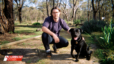 Aussie pet detective sheds light on preventing pet thefts after Melbourne dog is stolen