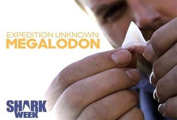 Expedition Unknown: Megalodon
