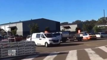 A joyride that began in Brisbane has ended in a Bunnings carpark in the New South Wales Hunter region.