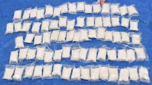 A line up of the methamphetamine seized.