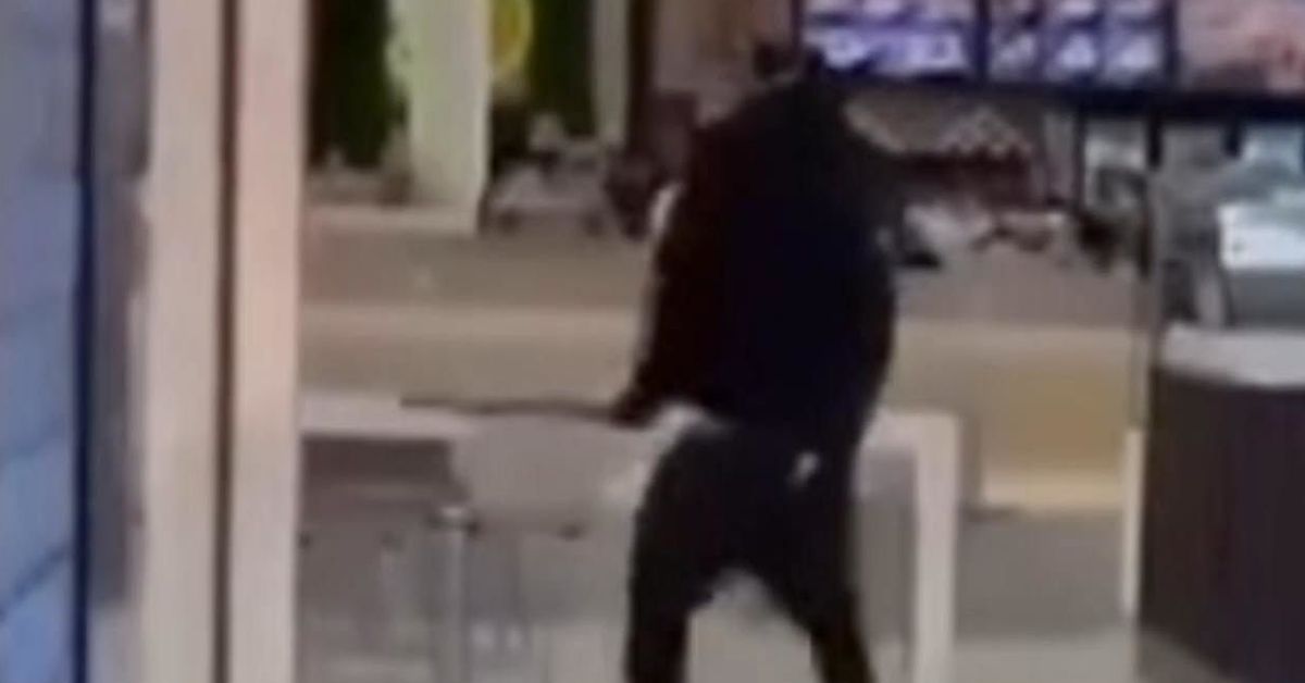 Broadmeadows: 'distressing' Knife Fight Breaks Out at Melbourne Sho...
