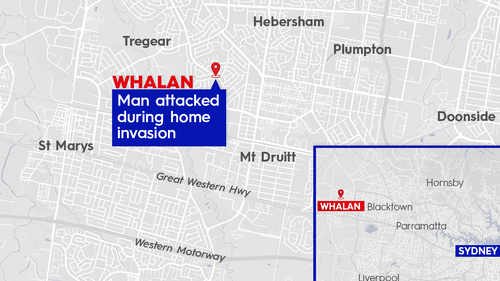 Man attacked with hammer in Sydney home invasion
