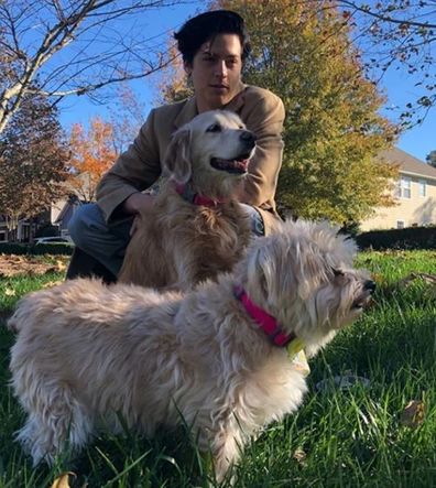 Cole Sprouse, Lili Reinhart, dogs, Instagram Stories