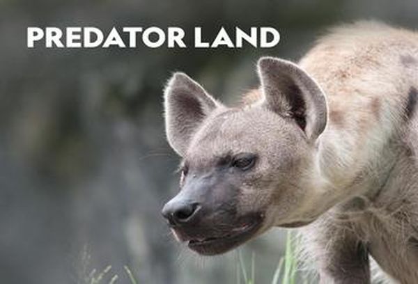 Predator Land