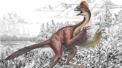 'Chicken from hell' dinosaur both scary and absurd