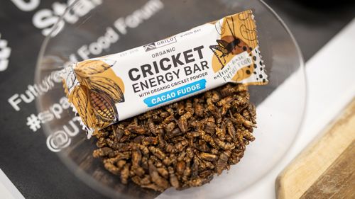 Energy bar made of crickets