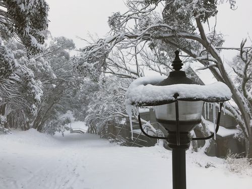 Mt Buller Ski Resort (AAP Image/Mt Buller Ski Resort) 