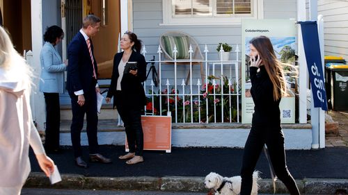 Potential bidders attend an auction