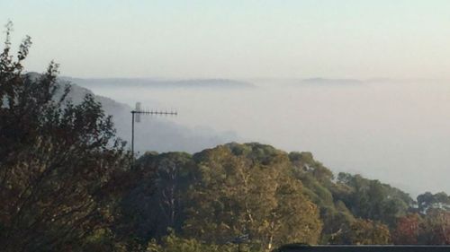 Record-breaking autumn weather for New South Wales
