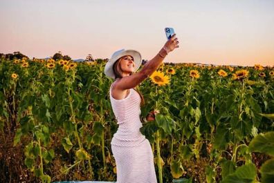 Flower lovers will soon be able to pick their own flowers near Sydney. Hunter Valley Sunflowers has announced it will open for the summer, with fields full of yellow stems. It also becomes a popular spot for an Instagram photo shoot, with fields of bright yellow flowers providing a perfect backdrop. ﻿