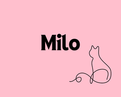 2. Milo