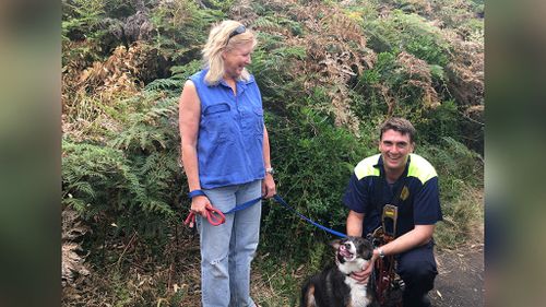 Grace the spaniel was returned to her owners uninjured. (Tasmania Police)