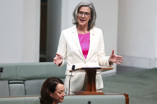 Membro de Bradfield, Nicolette Boele, faz seu primeiro discurso, na Câmara dos Deputados da Parlamento em Canberra.