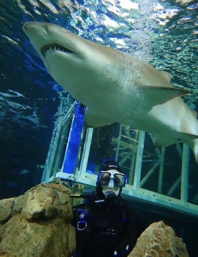 Diver with sharks at Shark Dive Xtreme at Sea Life Sydney Aquarium