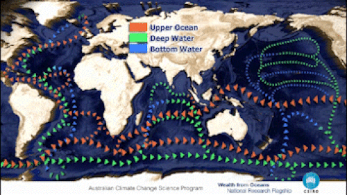 The major world ocean currents, with Bottom Water portrayed in blue. 