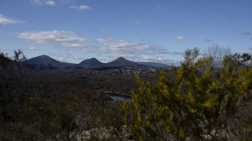 Canyoner falls to his death in Blue Mountains