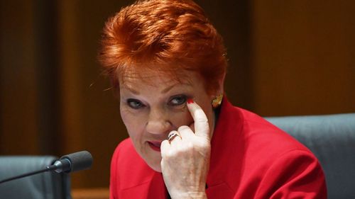 Pauline Hanson copped a lesson in submarines. (AAP)

