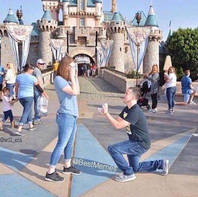 Disneyland proposals labelled 'cliche'