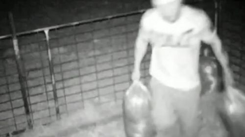 The thieves were caught on camera. Picture: 9NEWS