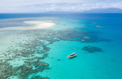 Ocean Safari, Far North Queensland