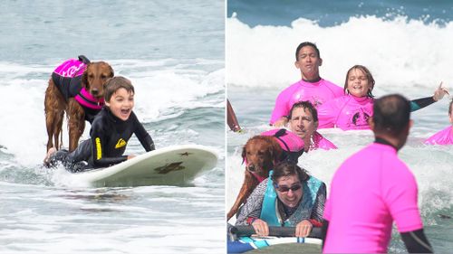 Boy with autism inspired by friendship with surfing dog to help others 