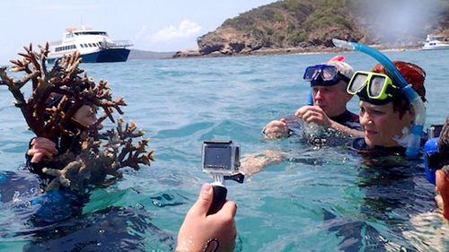 The One Nation reef tour. (AAP)