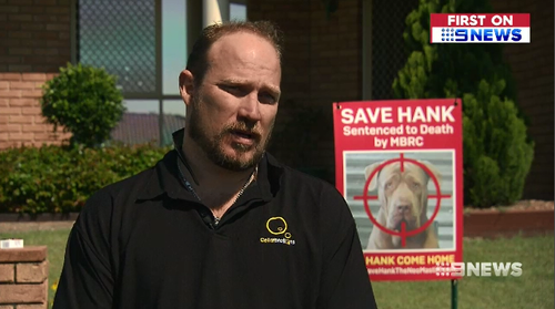 Hank's owner Nathan fought to have the dog's life spared, succeeding on his third go.