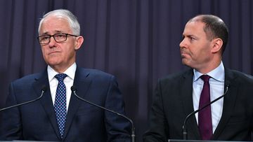 Malcolm Turnbull's son is funding an independent challenge to Josh Frydenberg.