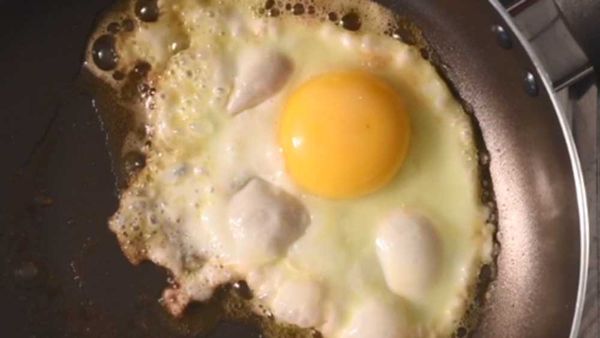 Perfect fried egg