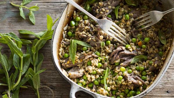 Lamb shanks with barley