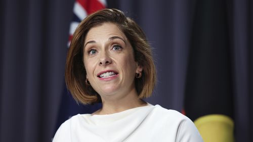 The tech giant has sent a letter to communications minister Anika Wells.