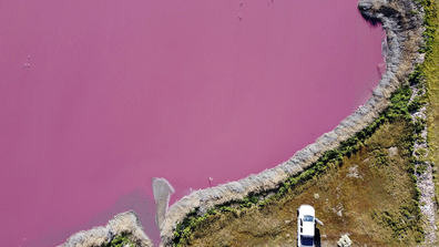 Aerial view of Corfo lagoon that has turned a striking shade of pink as a result of what local environmentalists are attributing to increased pollution from a nearby industrial park, in Trelew, Chubut province, Argentina, Thursday July 29, 2021.