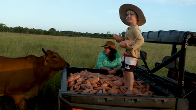 Splitters Farm. An animal rescue farm and getaway run by Carly and Ashley Clark in Bundaberg.