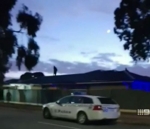 A wanted man has tried to get away from police in Adelaide by jumping from roof to roof. Picture: 9NEWS